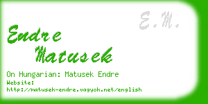 endre matusek business card